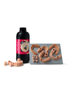 PHROZEN Washable dental model Beige