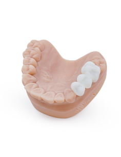 HARZ LABS Dental Bleach PRO 2