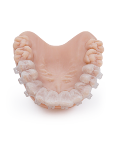 HARZ LABS Dental IBT 2