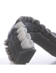 PriZma Bio Crown  LCD y DLP A3  250Gr. 2