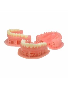 PriZma Bio Denture  Medium PINK  - LCD e DPL 500Gr. 2