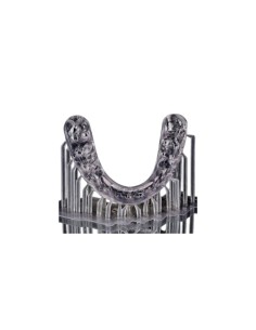 PriZma Bio Splint  Hard - LCD y DLP 500Gr. 2